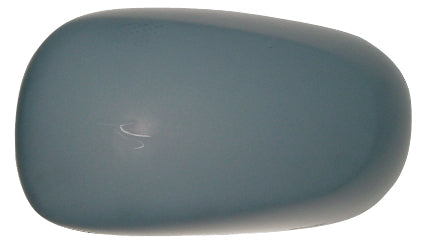 Calotta Specchio Retrovisore per Renault Modus 2004-2008 Con Primer Destra