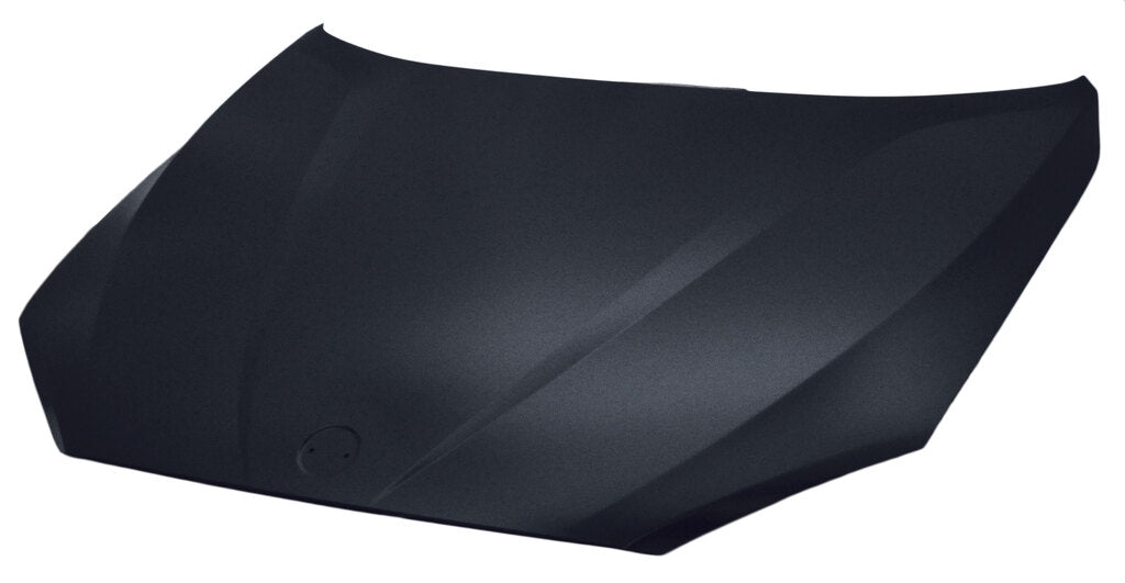 Cofano Per Bmw X1 - E84 (BM7023100)