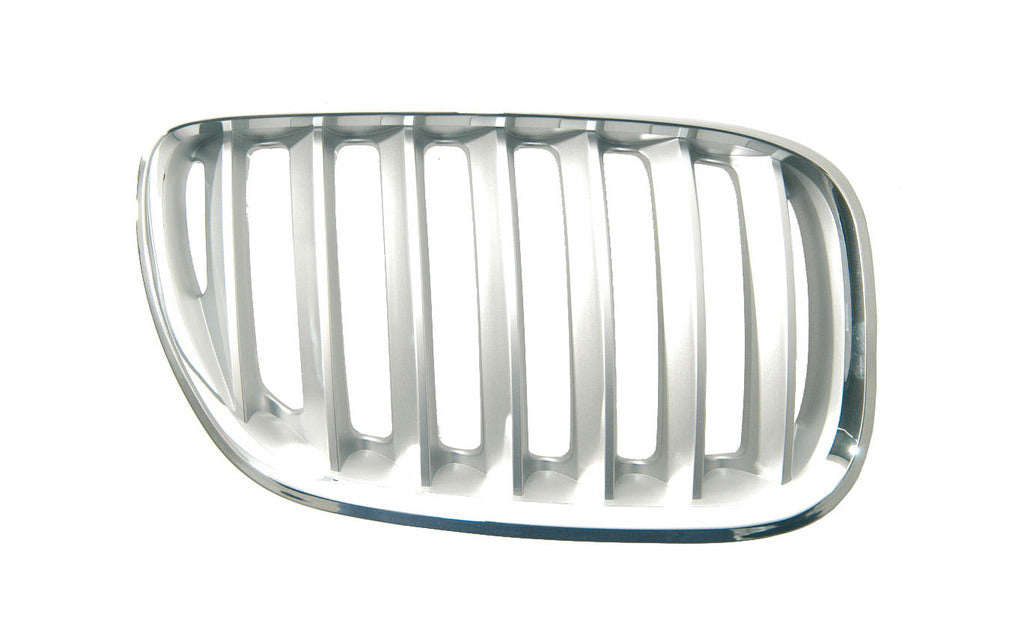 Griglia Radiatore Destra In Titanio Mod. 04 > Per Bmw X5 - E53 (BM8202033)