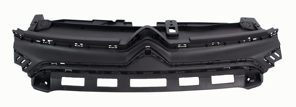 Supporto Griglia Radiatore-Interno Per Citroen C3 (CI3312102)