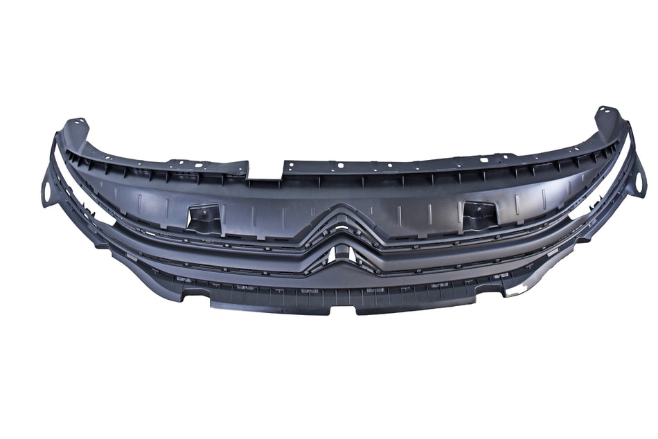 Griglia Radiatore-Nera-Goffrata Per Citroen Berlingo Multispace (CI9252001)