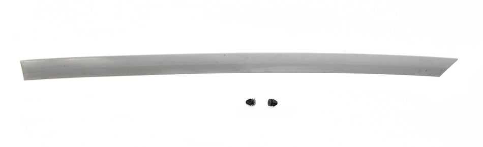 Modanatura Porta Posteriore Sinistra-Con Primer Mod. 4 Porte Per Dacia Logan (DA3241464)