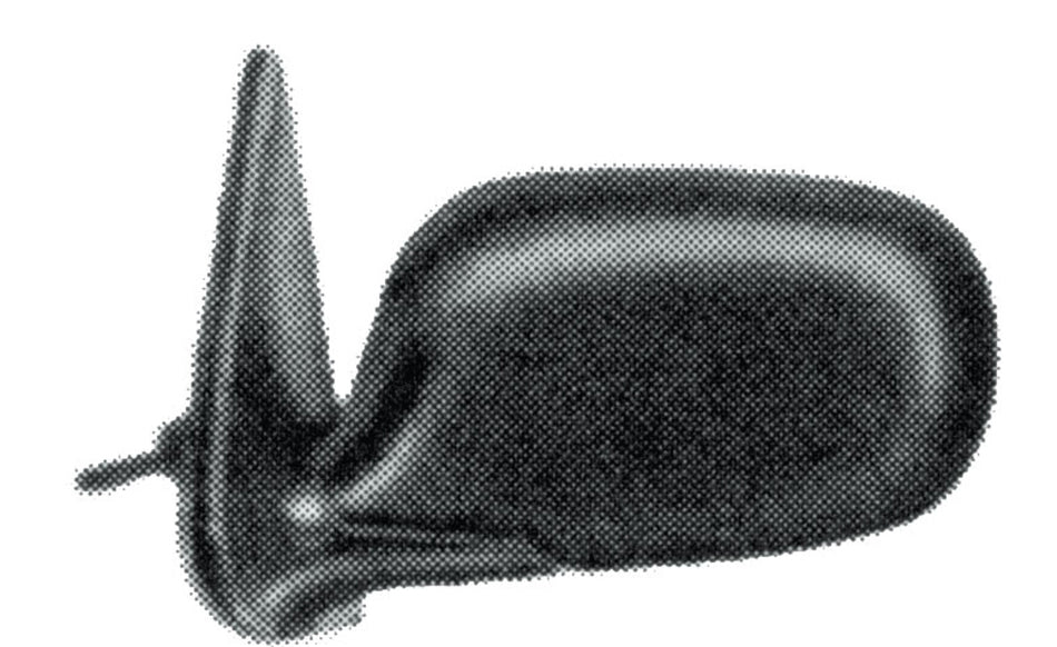 Retrovisore Destro-A Cavi-Nero-Convesso Per Nissan Micra K11 (DS0057113)