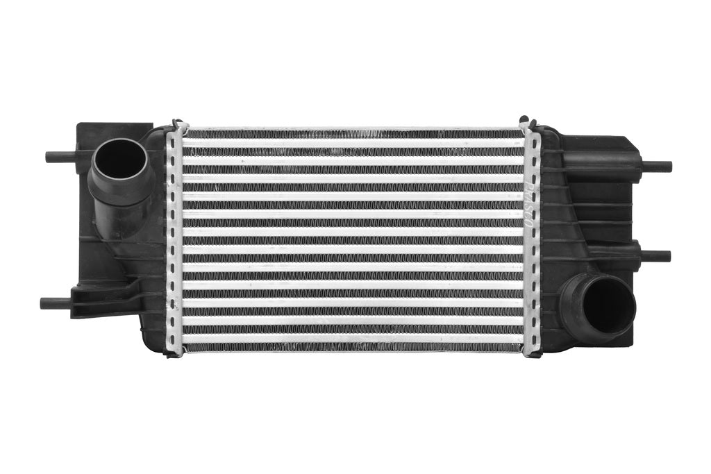 Intercooler Per Nissan Juke (DS700N001)