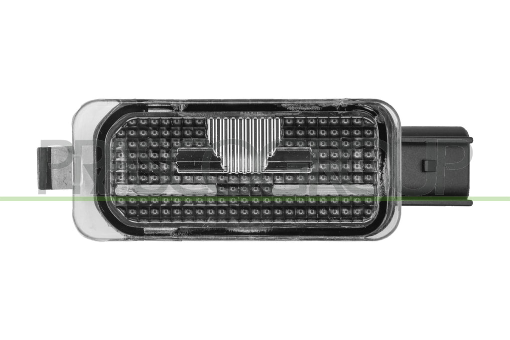 Luce Targa Destra/sinistra-Con Porta Lampada E Lampadina Per Ford Fiesta Mk Vi (FD3444350AQ)