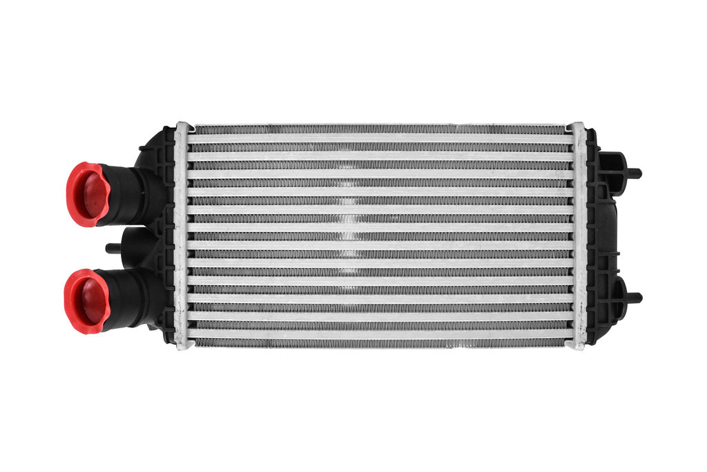 Intercooler Per Peugeot 208 (PG330N001)