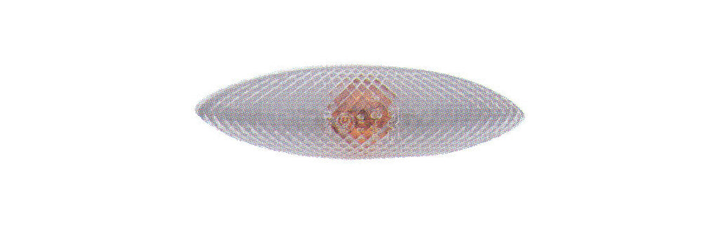 Fanale Laterale Sinistro-Bianco-Con Portalampada-Con Lampadina Per Toyota Yaris (TY3204042)